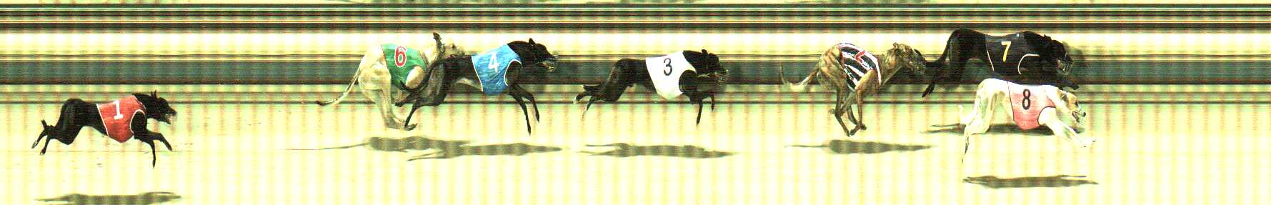 Photo finish for Sale Race 6