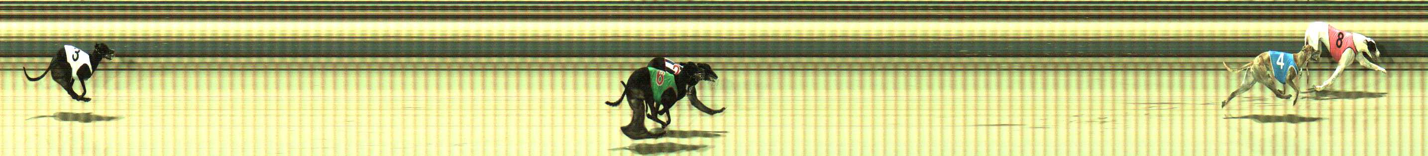 Photo finish for Sale Race 7