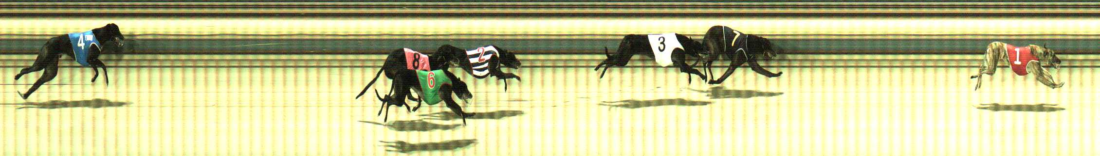 Photo finish for Sale Race 9