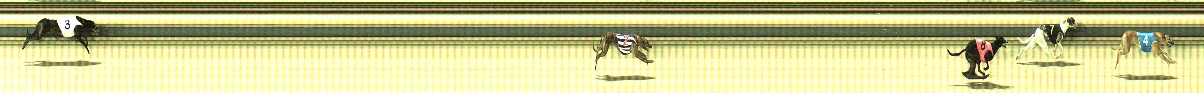 Photo finish for Sale Race 12