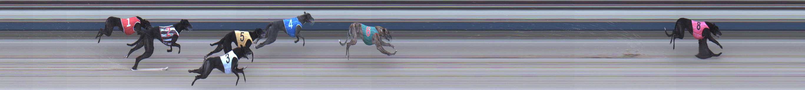 Photo finish for Sale Race 2
