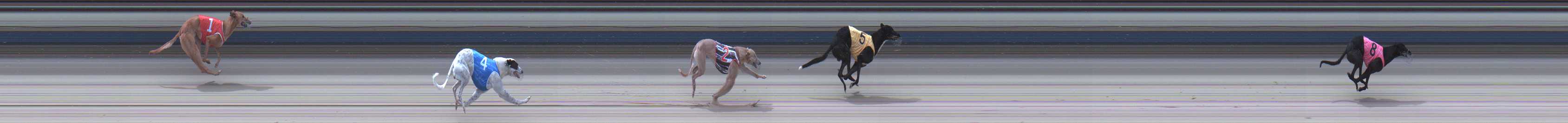 Photo finish for Sale Race 3