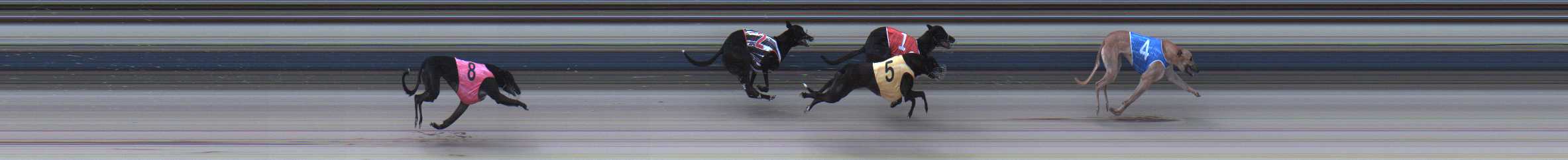Photo finish for Sale Race 4