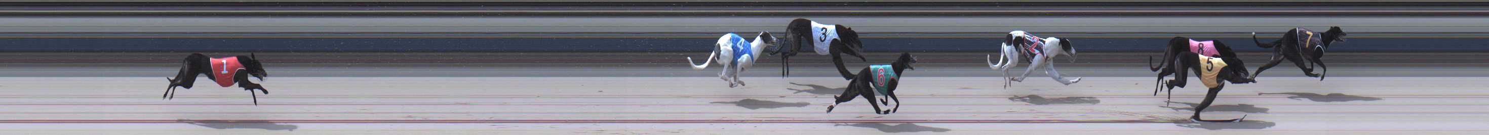 Photo finish for Sale Race 6