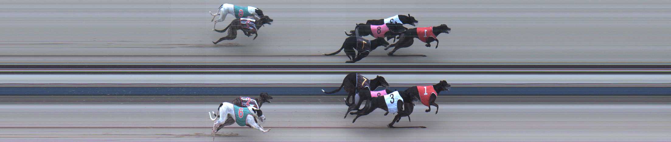 Photo finish for Sale Race 7