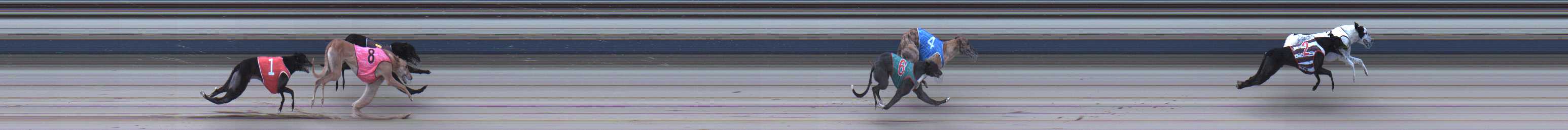 Photo finish for Sale Race 9