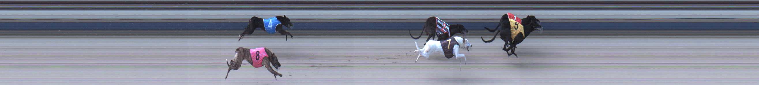 Photo finish for Sale Race 10