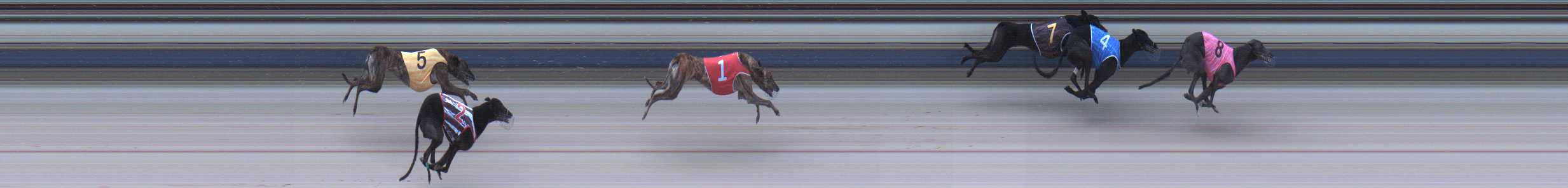 Photo finish for Sale Race 11