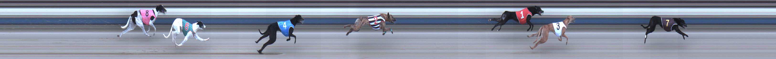 Photo finish for Sale Race 12