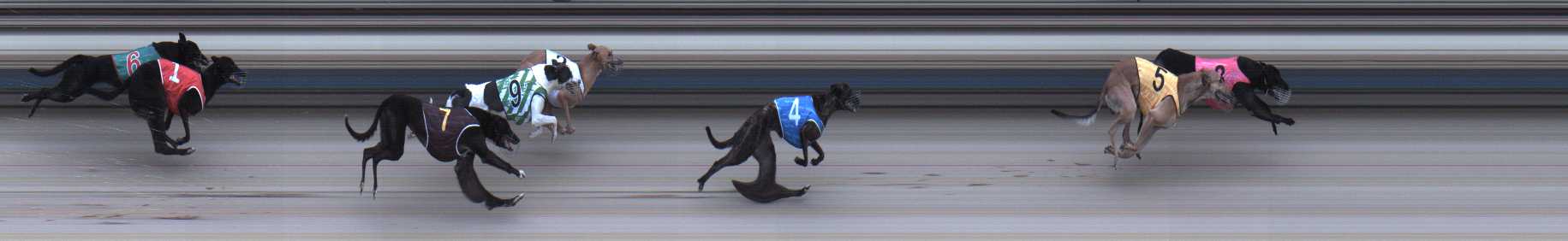 Photo finish for Sale Race 2