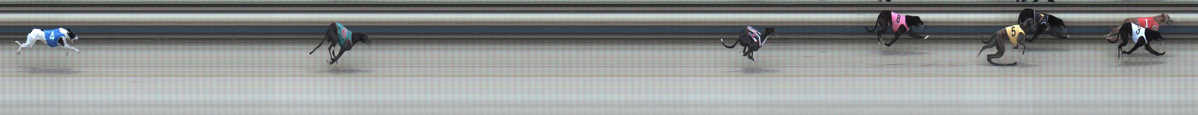 Photo finish for Sale Race 3