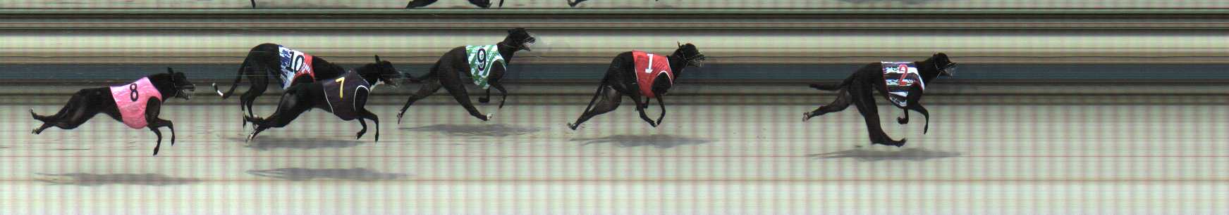 Photo finish for Sale Race 4