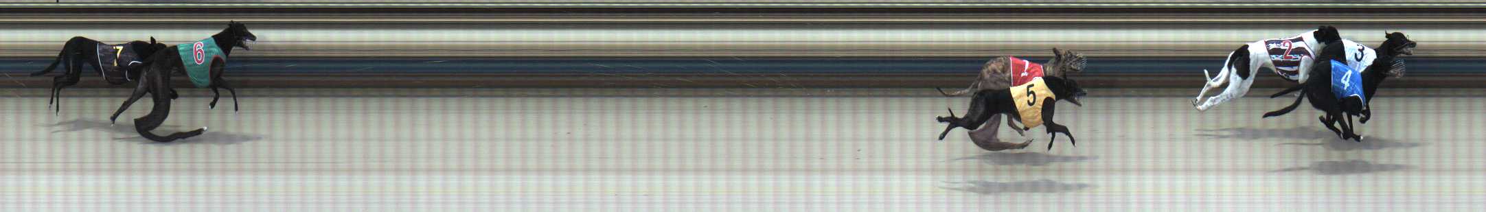 Photo finish for Sale Race 5