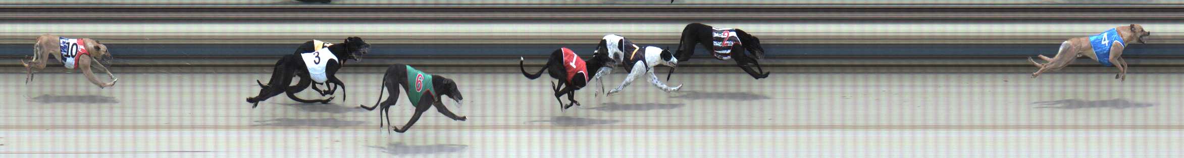 Photo finish for Sale Race 6
