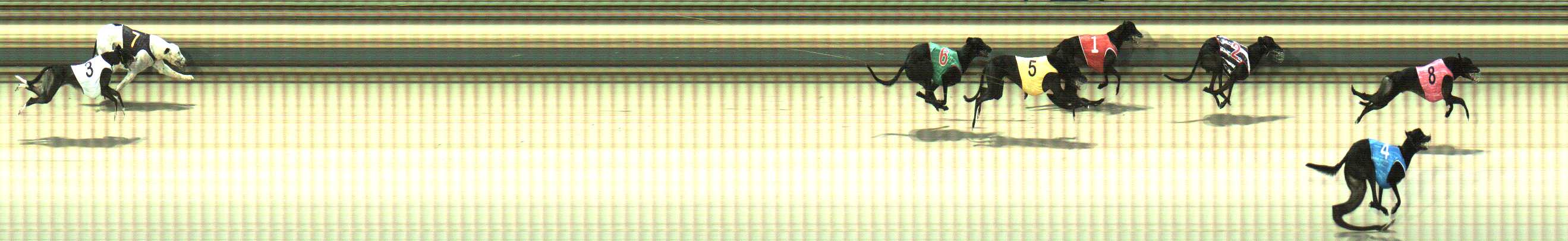 Photo finish for Sale Race 7