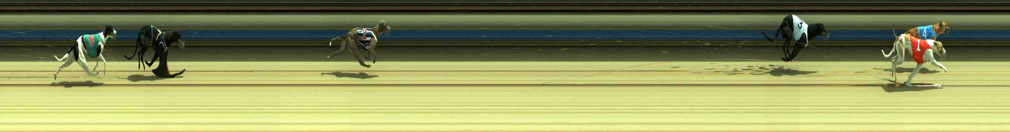 Photo finish for Sale Race 2