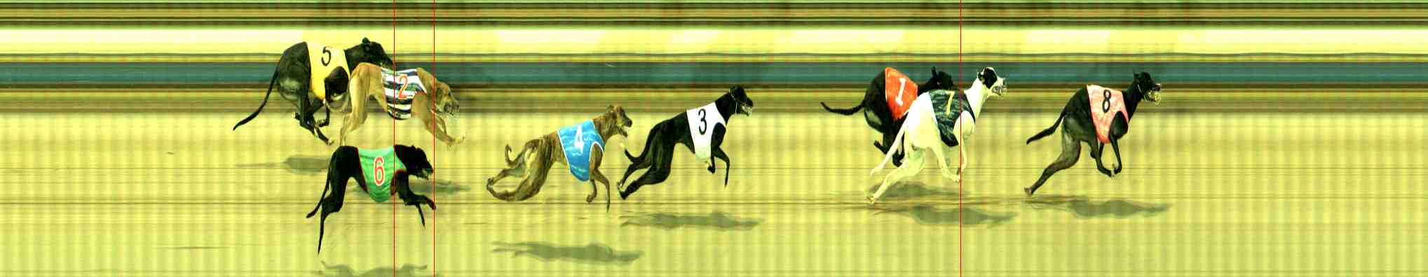 Photo finish for Sale Race 1