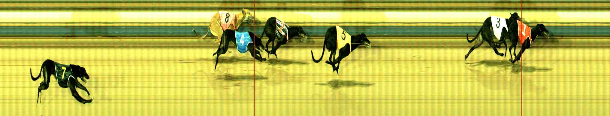 Photo finish for Sale Race 2