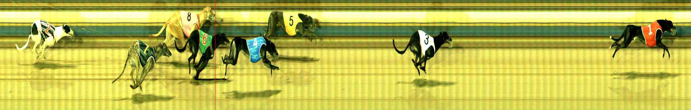 Photo finish for Sale Race 3