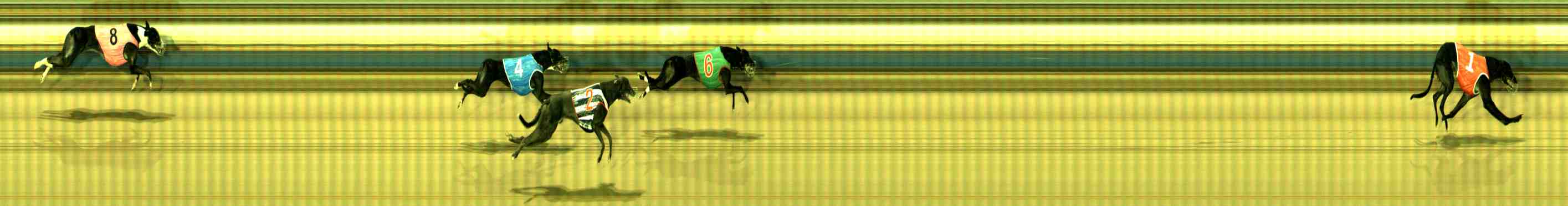 Photo finish for Sale Race 4