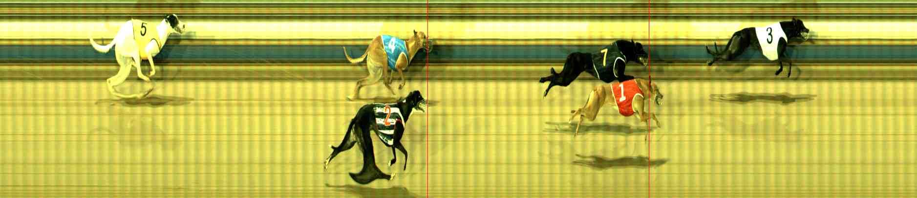 Photo finish for Sale Race 5