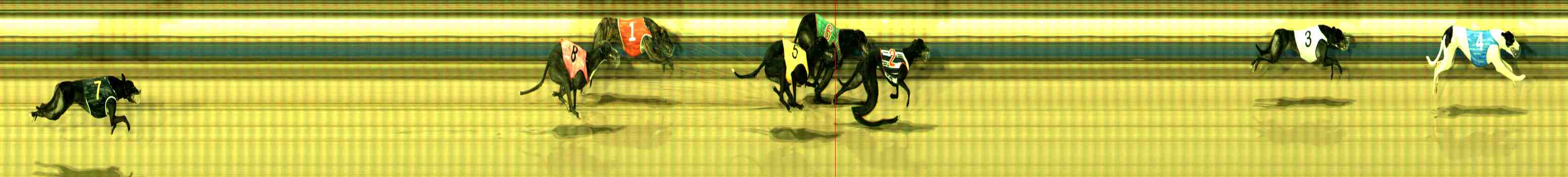 Photo finish for Sale Race 6