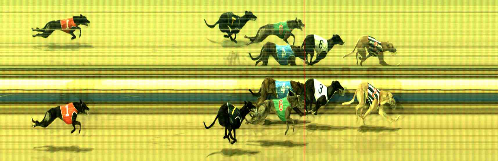 Photo finish for Sale Race 7