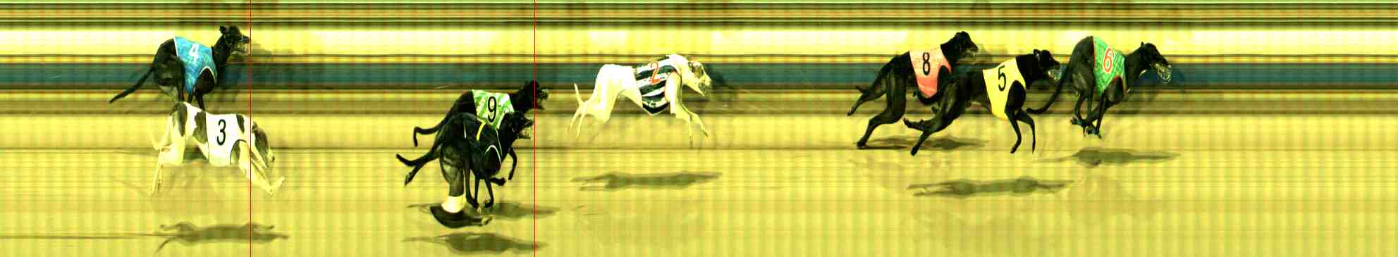 Photo finish for Sale Race 8