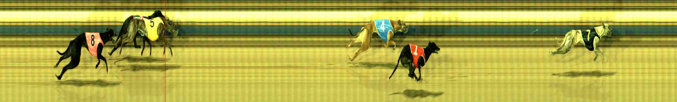 Photo finish for Sale Race 10