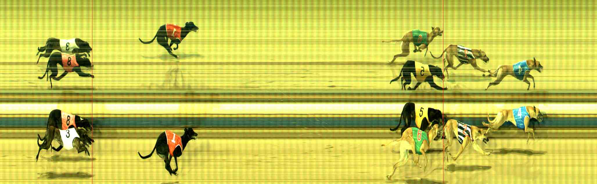 Photo finish for Sale Race 11