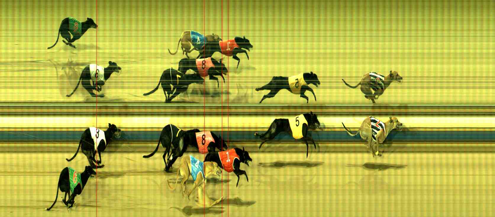 Photo finish for Sale Race 12