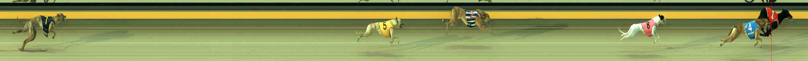 Photo finish for Sale Race 1