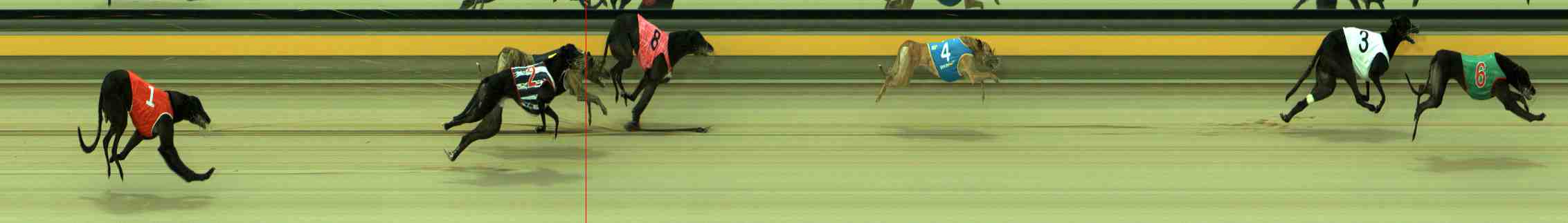 Photo finish for Sale Race 3