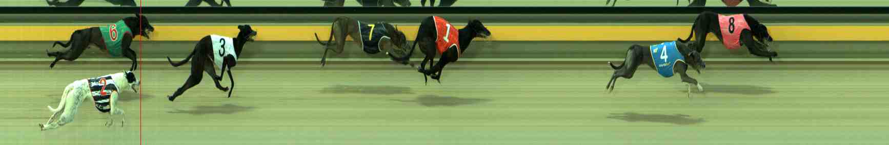 Photo finish for Sale Race 4