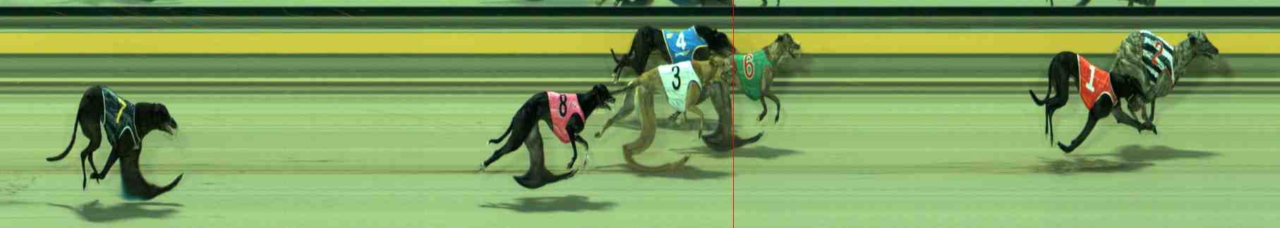 Photo finish for Sale Race 5