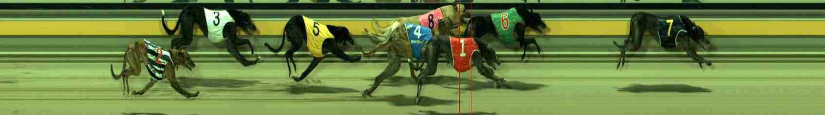 Photo finish for Sale Race 8