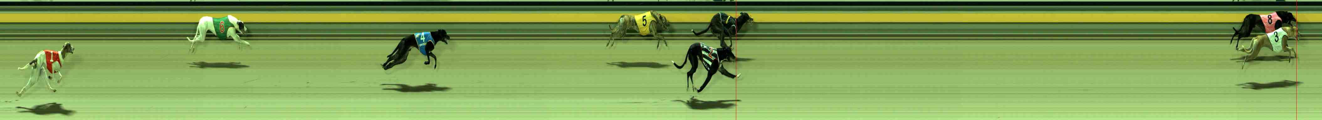 Photo finish for Sale Race 9