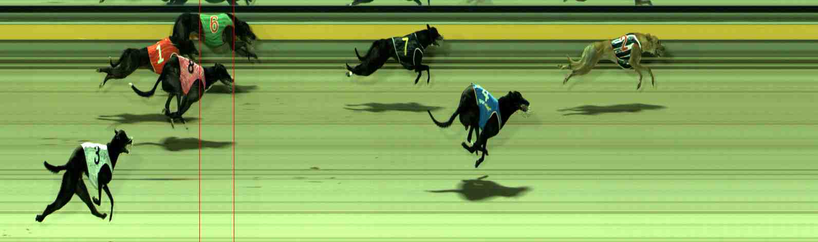 Photo finish for Sale Race 10