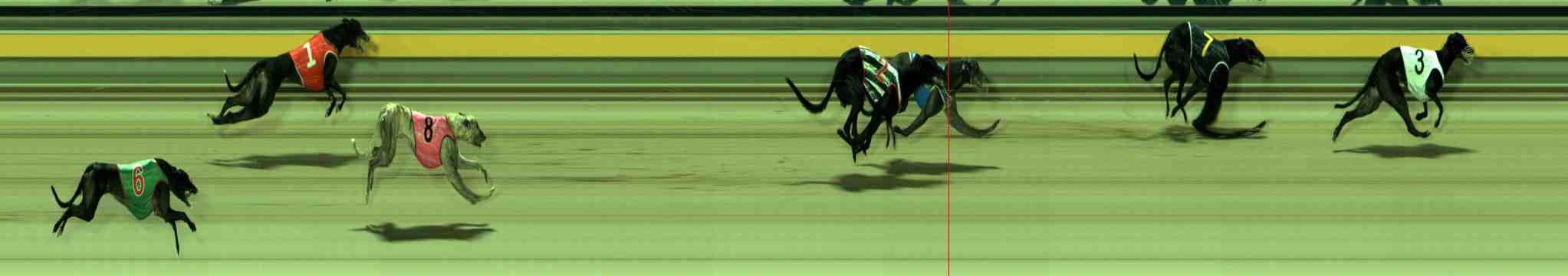 Photo finish for Sale Race 11