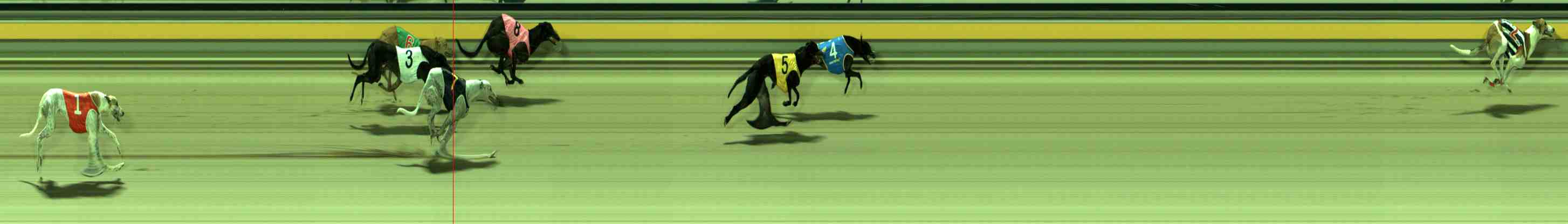 Photo finish for Sale Race 12
