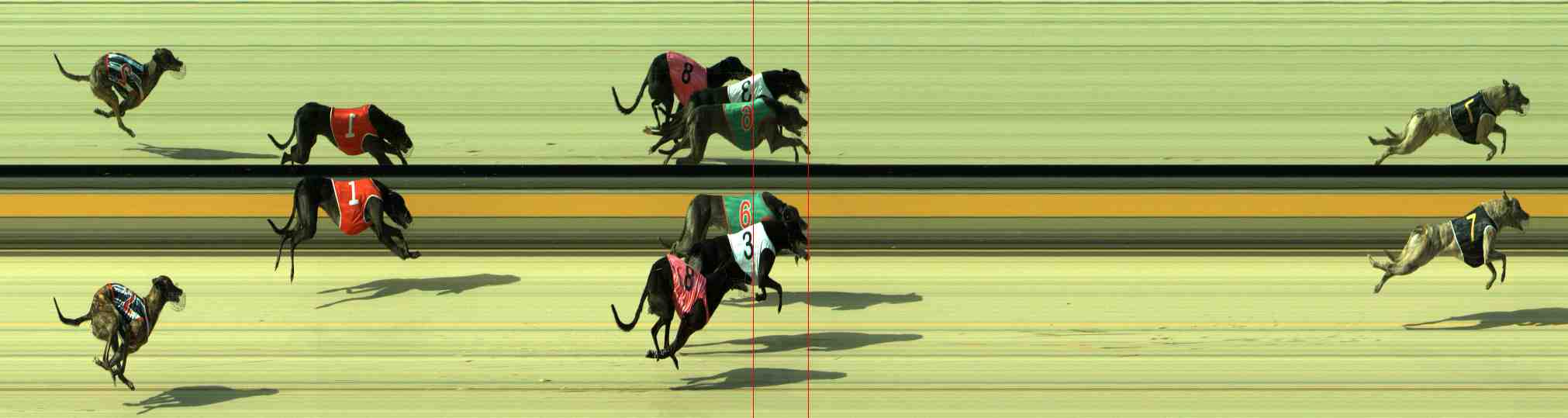 Photo finish for Sale Race 1