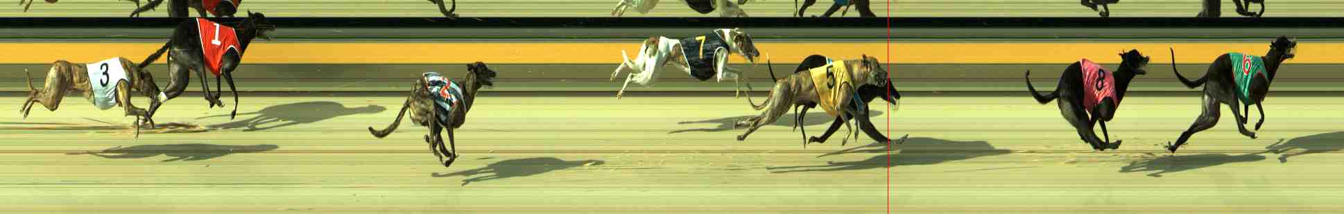 Photo finish for Sale Race 2