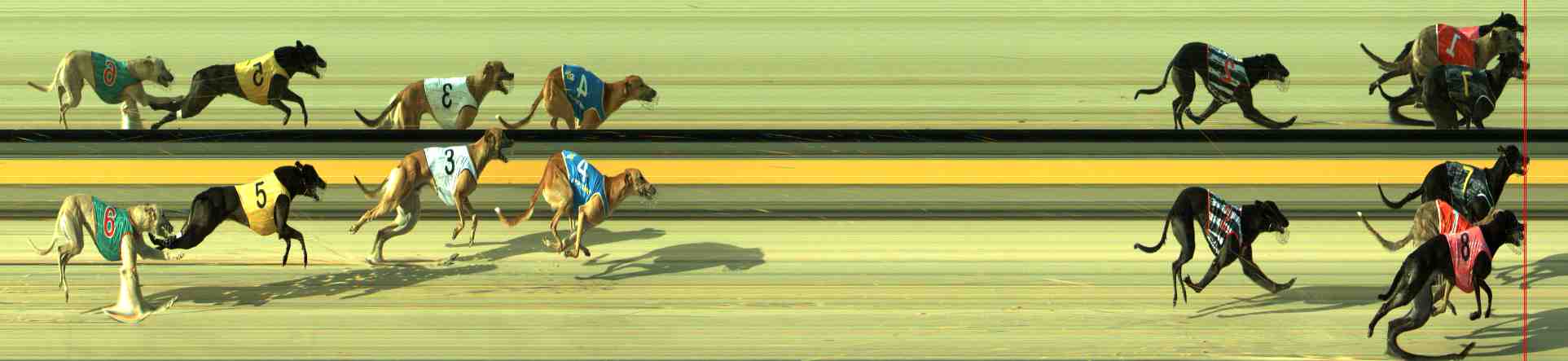 Photo finish for Sale Race 3