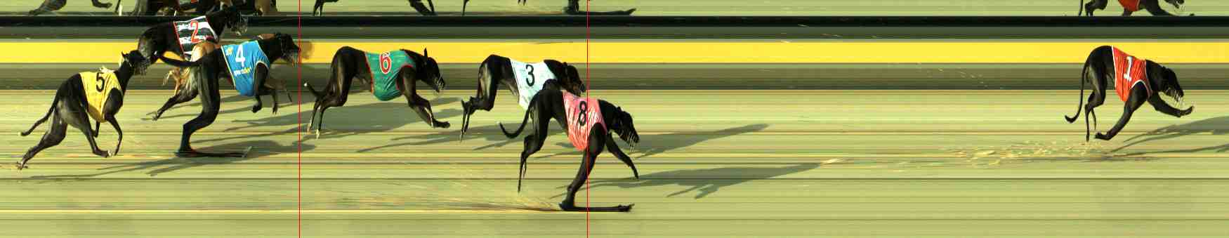 Photo finish for Sale Race 4