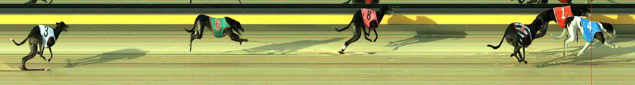 Photo finish for Sale Race 5