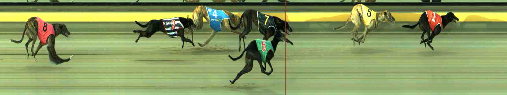 Photo finish for Sale Race 6