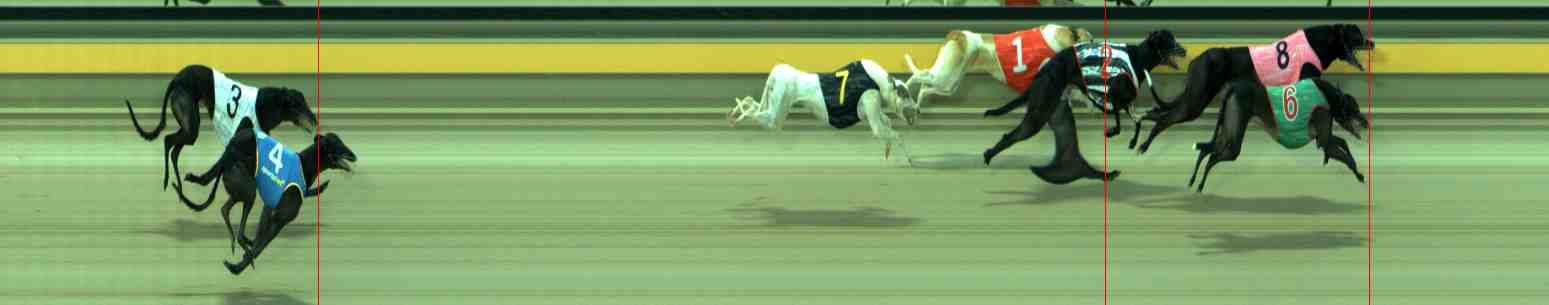 Photo finish for Sale Race 8