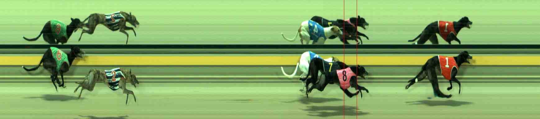 Photo finish for Sale Race 9