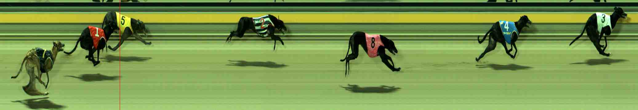 Photo finish for Sale Race 10