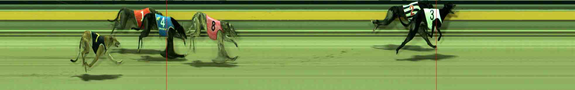 Photo finish for Sale Race 11